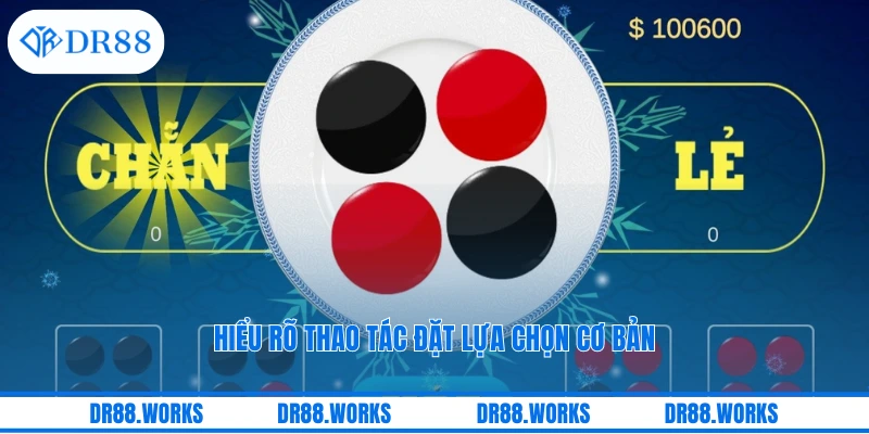 Hiểu rõ thao tác đặt lựa chọn cơ bản