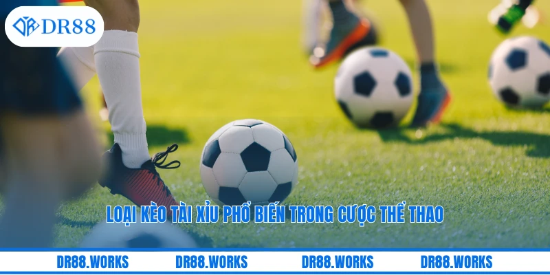 Loại kèo tài xỉu phổ biến trong cược thể thao