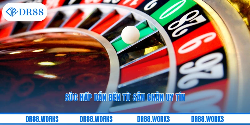 Sức hấp dẫn đến từ sân chân uy tín